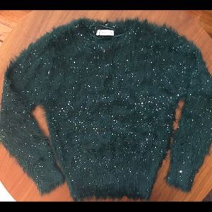 Zara fuzzy green sweater with sequins. NWT